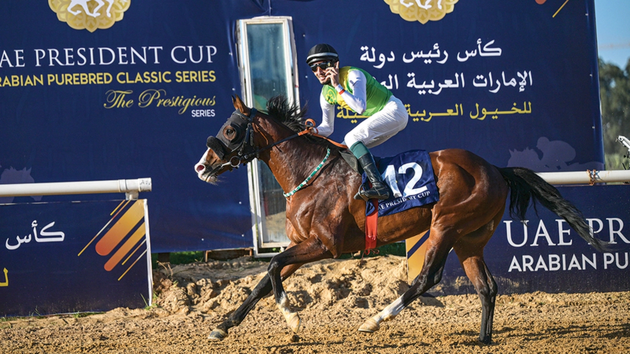 «آر بي بوي فريند» يخطف لقب كأس رئيس الدولة للفروسية في تونس